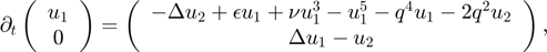 $$ \partial_t \left(\begin{array}{c} u_1 \\0 \end{array}\right)=\left(\begin{array}{c}-\Delta u_2+\epsilon u_1+\nu u_1^3-u_1^5-q^4 u_1-2q^2 u_2\\ \Delta u_1 -u_2\end{array}\right),$$