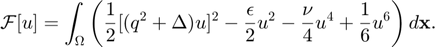 $$\mathcal{F}[u]=\int_\Omega\left(\frac{1}{2}[(q^2+\Delta)u]^2-\frac{\epsilon}{2}u^2-\frac{\nu}{4}u^4+\frac{1}{6}u^6 \right) d\mathbf{x}.$$